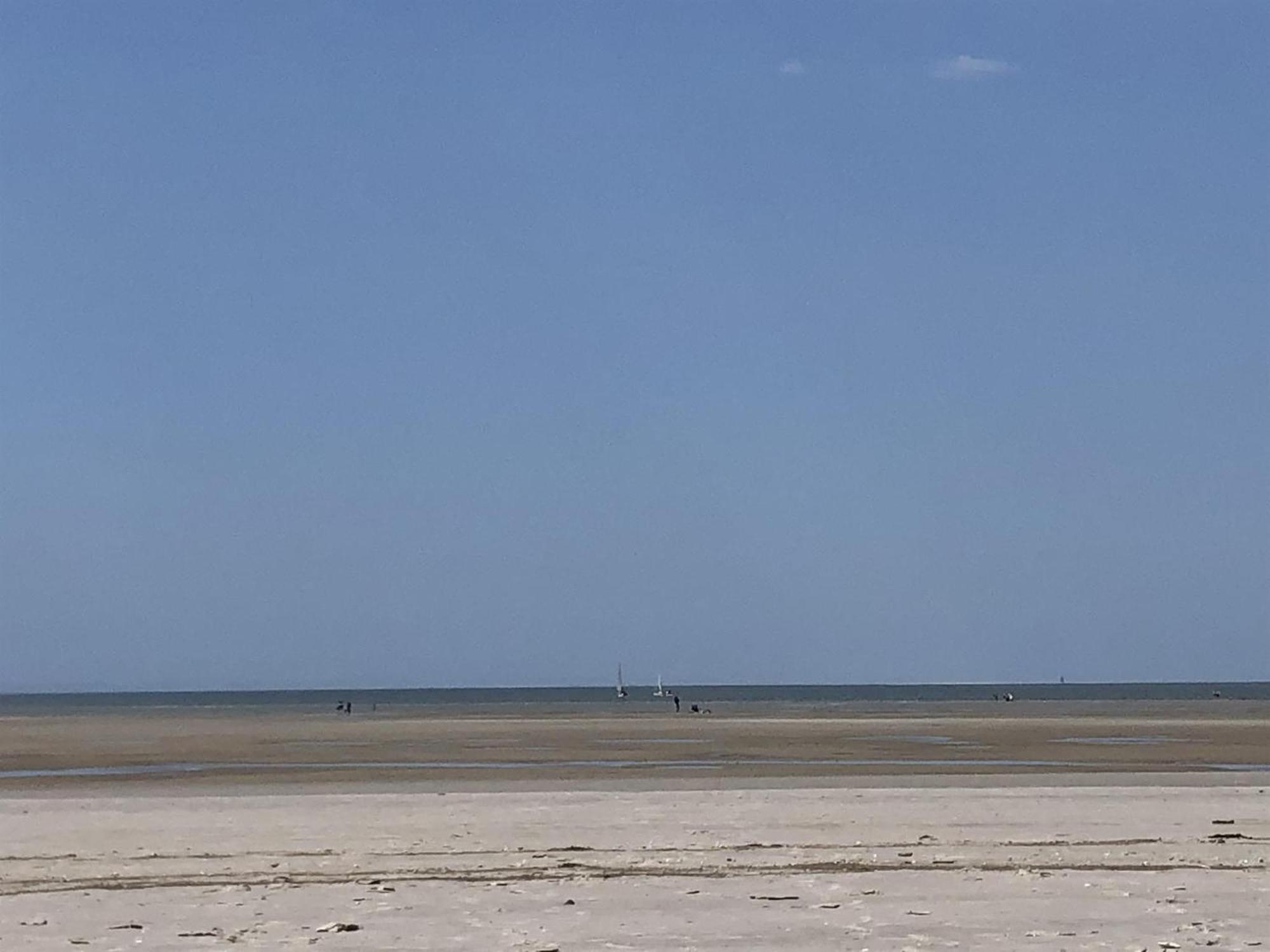 Haubarg Alte Strandvogtei فيستيرهيفير المظهر الخارجي الصورة