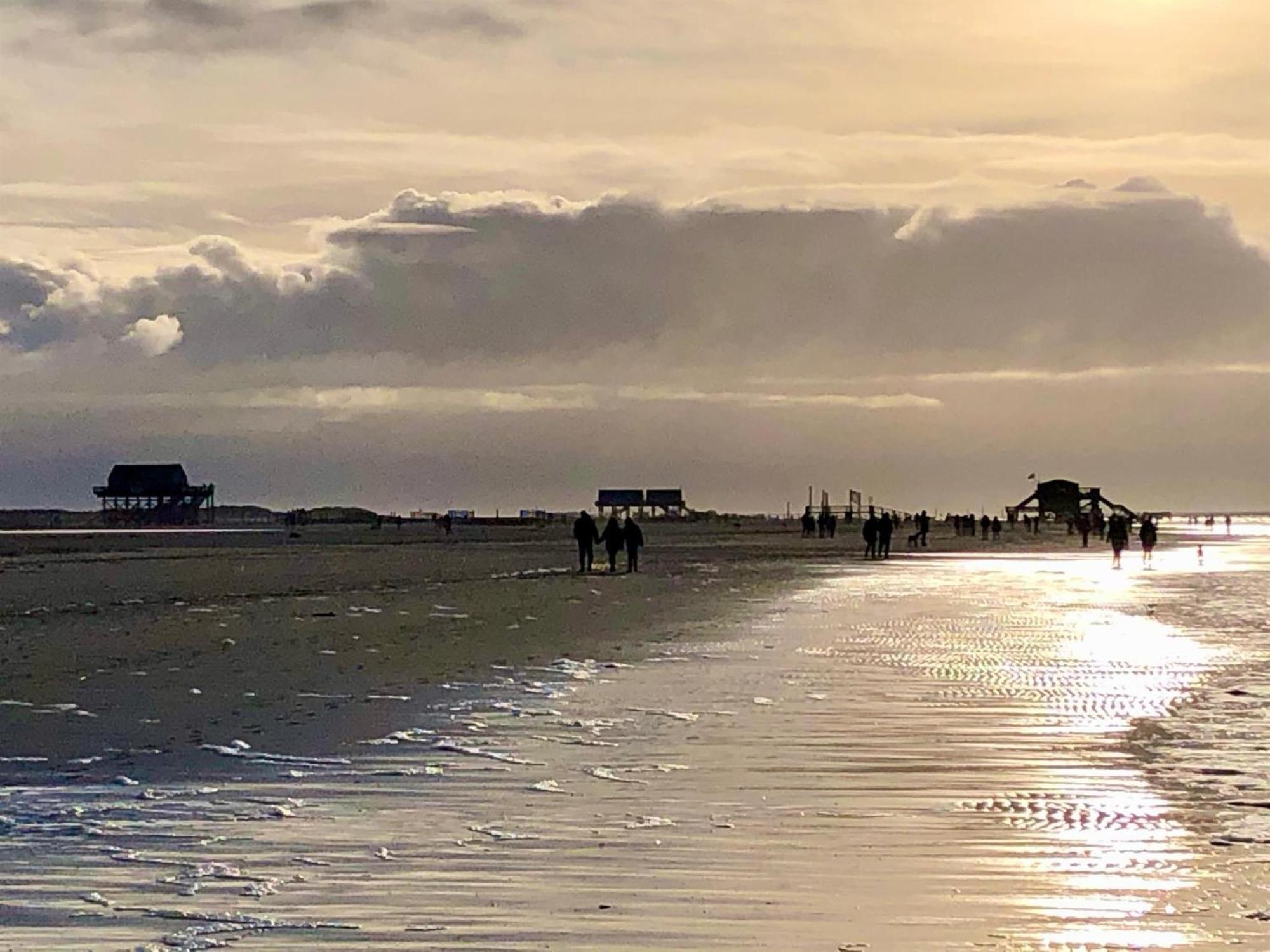 Haubarg Alte Strandvogtei فيستيرهيفير المظهر الخارجي الصورة